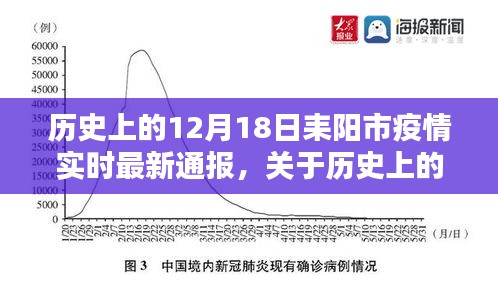 历史上的12月18日与今日耒阳市疫情实时最新通报，全方位了解指南