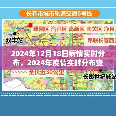 2024年疫情实时分布指南，适用于初学者与进阶用户的查询指南