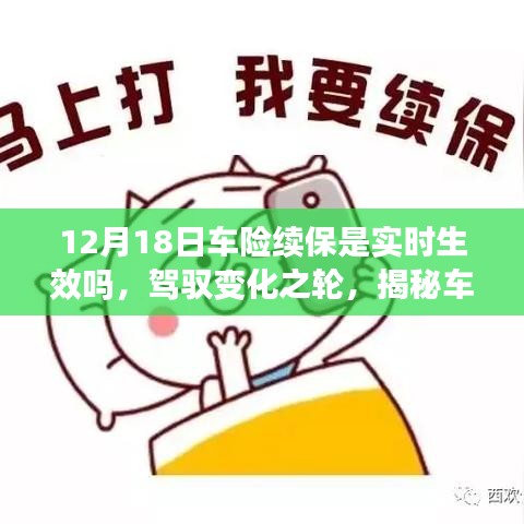 揭秘车险续保背后的力量与智慧，实时生效及驾驭变化之策略解析（12月18日）