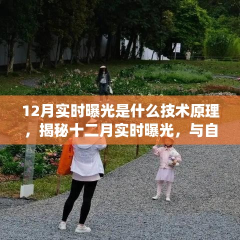 揭秘十二月实时曝光技术原理，与自然美景的浪漫邂逅之旅