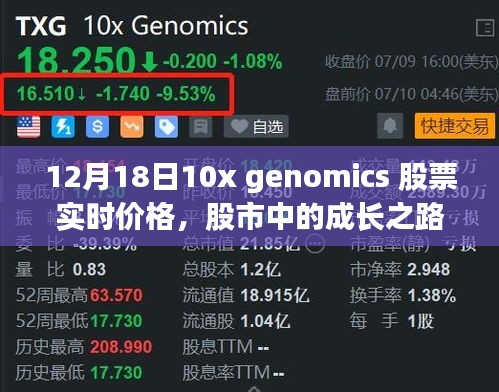 揭秘股市成长之路，揭秘10x Genomics股票实时价格的魔力与股市动态分析