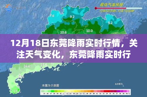 东莞降雨实时行情解析，天气变化、三大关注要点详解