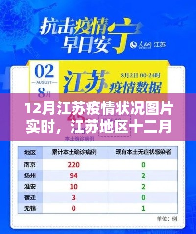 江苏十二月疫情状况实时图片分析与观察