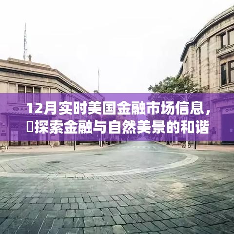 十二月美国金融市场深度洞察，信息荟萃与金融自然美景的启示