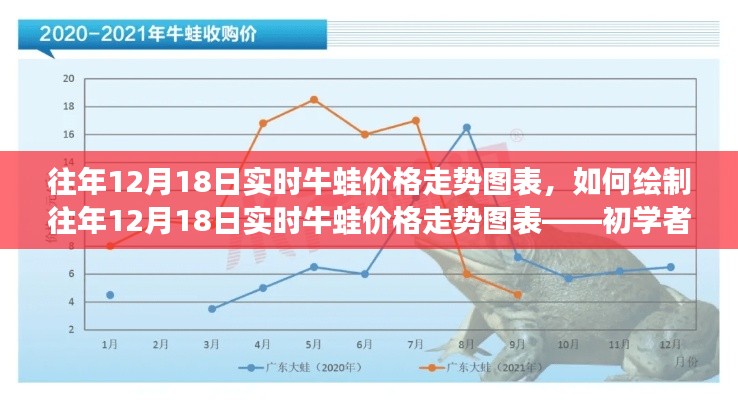 往年12月18日牛蛙实时价格走势图表详解，绘制指南及初学者进阶建议