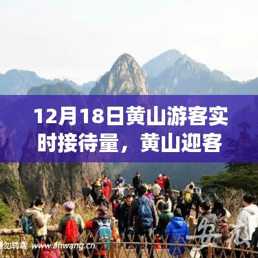 黄山迎客日，冬日游客接待量与温馨之旅的见证