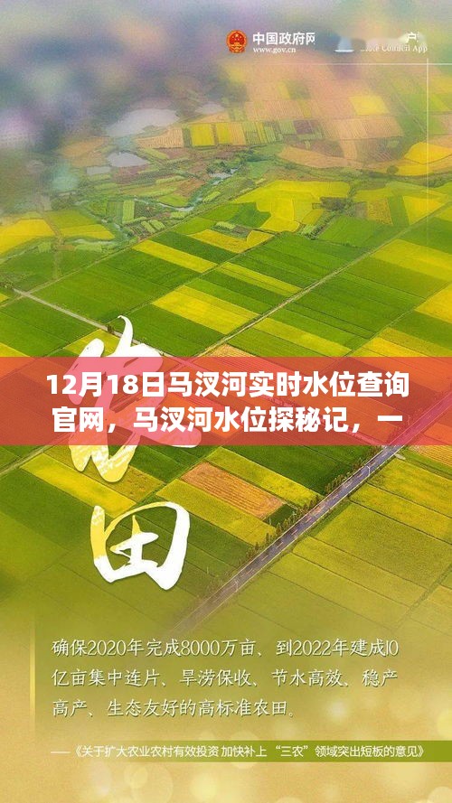 马汊河水位探秘记，与友共度的温馨时光，实时水位查询官网发布