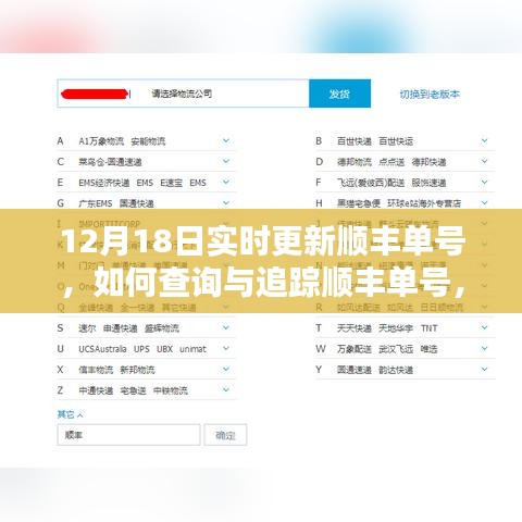 12月18日顺丰单号查询与追踪步骤指南，实时更新追踪流程