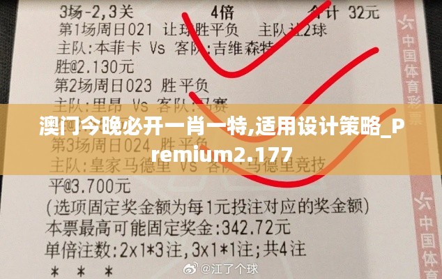 澳门今晚必开一肖一特,适用设计策略_Premium2.177