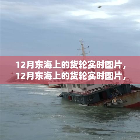 12月东海货轮实时图片，深度评测与详细介绍