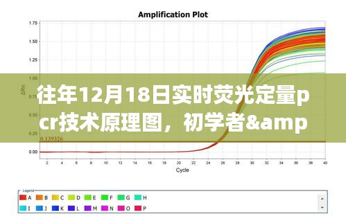 实时荧光定量PCR技术原理及操作全攻略，从初学者到进阶用户的必备指南（往年12月18日特定内容）