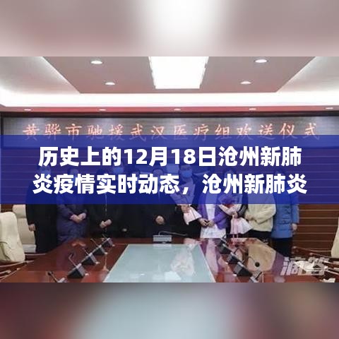 沧州新肺炎疫情逆袭之路，实时动态下的学习力量与希望之光芒