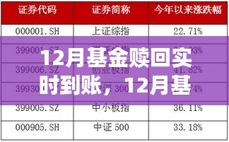 2024年12月19日 第21页