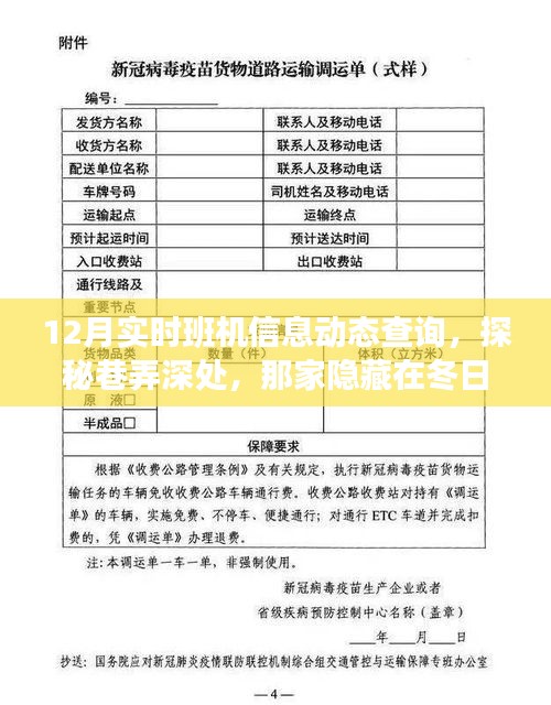 隐藏在冬日暖阳下的航班信息动态查询特色小店，实时班机信息深度探秘