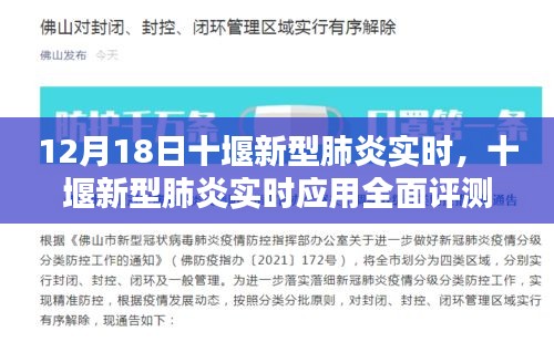 十堰新型肺炎实时应用全面评测，特性、体验、对比及用户群体深度分析