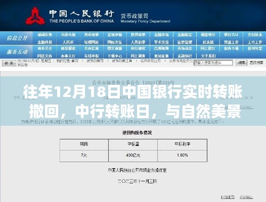 中国银行转账日，探寻内心平静与自然美景的交融之旅