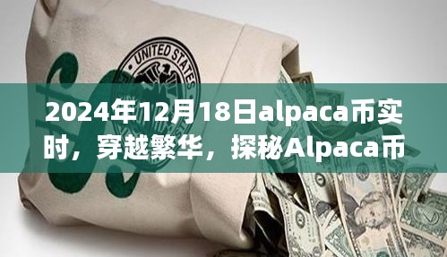 穿越繁华探秘Alpaca币之旅，实时行情与心灵共鸣的自然美景探寻