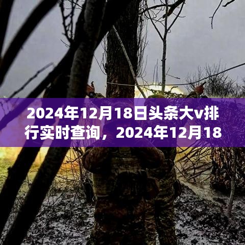 2024年12月18日头条大V排行实时查询产品全面评测与介绍