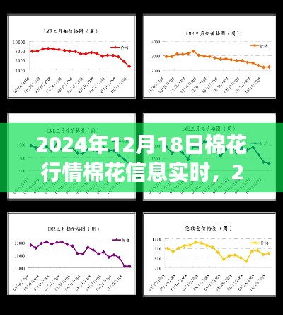 2024年12月18日棉花行情深度解析及实时信息与市场洞察