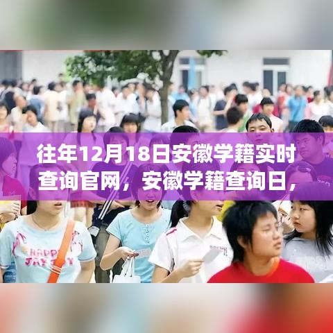 安徽学籍查询日，温馨寻找与陪伴之旅