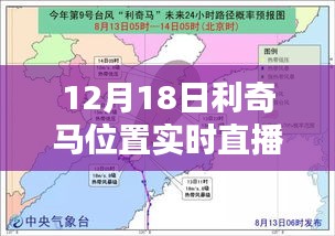 2024年12月19日 第10页