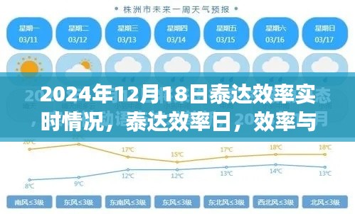 泰达效率日，效率与友情的交响乐章，实时观察泰达效率进展（2024年12月18日）