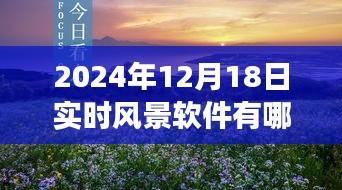 实时风景软件公司盘点与奇妙之旅，数字风景中的温情时光