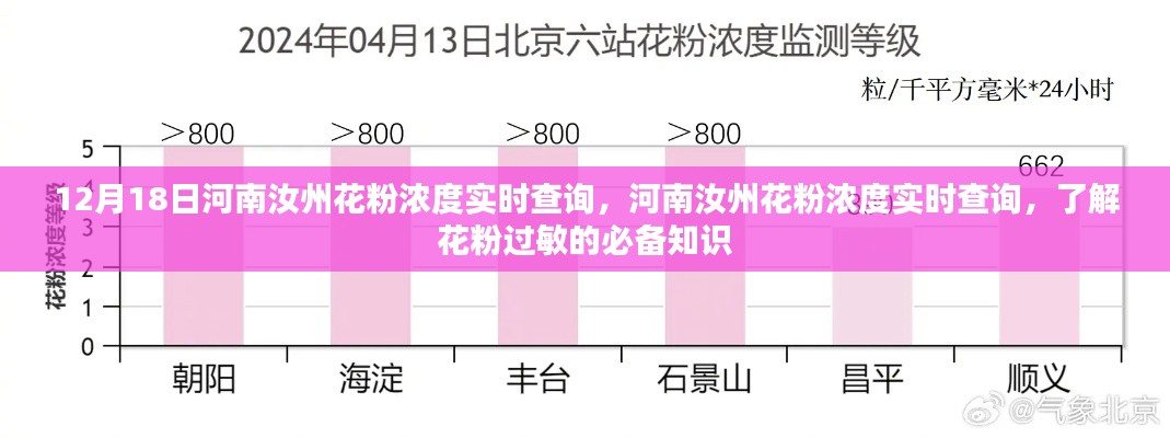 河南汝州花粉浓度实时查询，掌握必备知识，预防花粉过敏