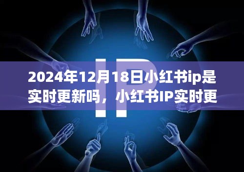 小红书IP实时更新解析，聚焦2024年12月18日，小红书IP是否实时更新？