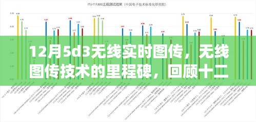 2024年12月19日 第6页