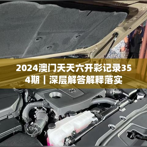 2024澳门天天六开彩记录354期｜深层解答解释落实