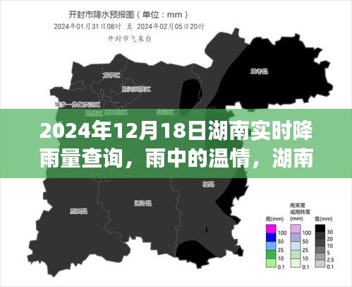 2024年12月19日 第3页