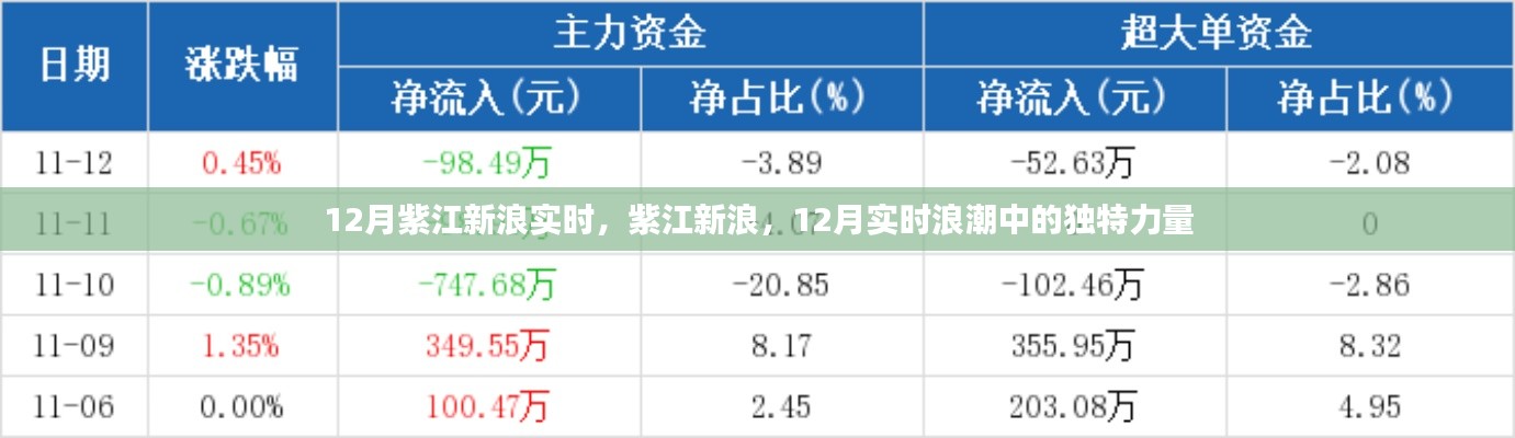 紫江新浪的独特力量，揭秘十二月实时浪潮中的实时动态