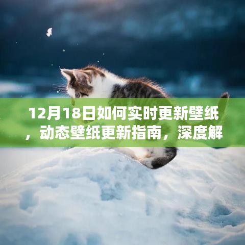 12月18日实时更新壁纸的艺术与技巧，动态壁纸深度解析指南