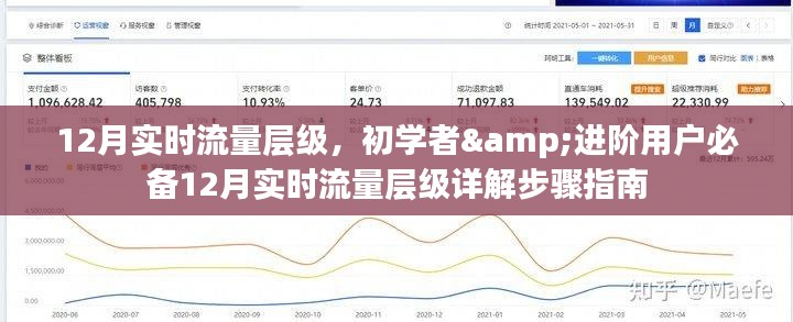 初学者与进阶用户必备的12月实时流量层级详解及步骤指南