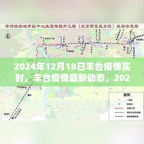 丰台疫情实时更新，最新动态与报告（XXXX年）