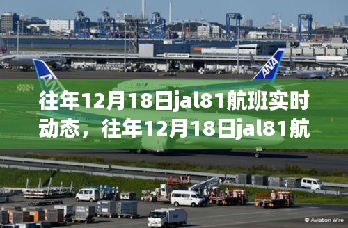 往年12月18日jal81航班实时动态详解与全面评测