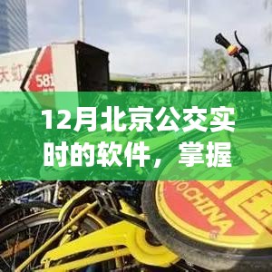 掌握出行节奏，北京公交实时软件应用与发展在十二月深度探索