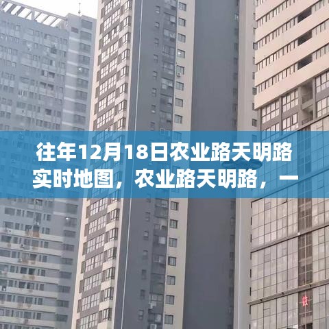 农业路天明路的温馨地图奇遇记，历年12月18日实时地图回顾