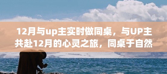 与UP主同桌，12月心灵之旅，共赴自然美景中的内心平静之旅