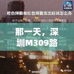 深圳M309路上的奇遇，温情纽带展现人间真情