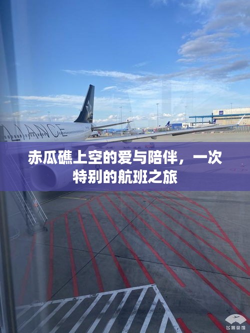 赤瓜礁上空的爱与陪伴，一次独特的航班之旅