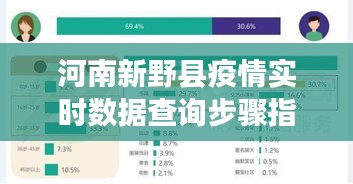 河南新野县疫情实时数据查询指南，初学者与进阶用户适用