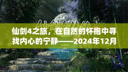 2024年12月21日 第5页