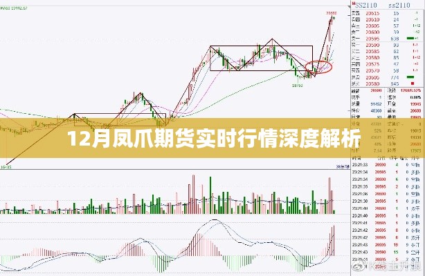 12月凤爪期货实时行情深度剖析