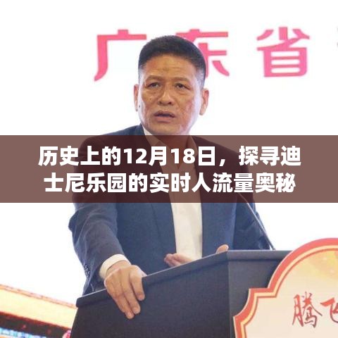 迪士尼乐园实时人流量揭秘，历史12月18日的探寻之旅