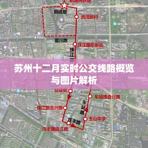 苏州十二月实时公交线路全景解析及图片指南