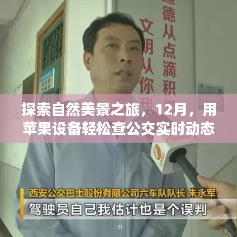 探索自然美景之旅，苹果设备助力公交实时查询，启程寻找心灵宁静的十二月