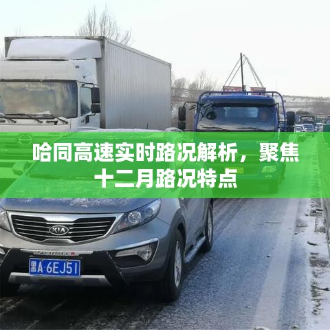 哈同高速十二月实时路况解析及特点关注