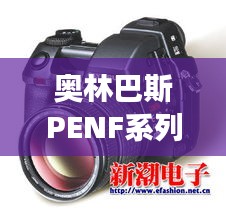 奥林巴斯PENF系列相机实时曝光显示技术的前沿展望（2024年视角）